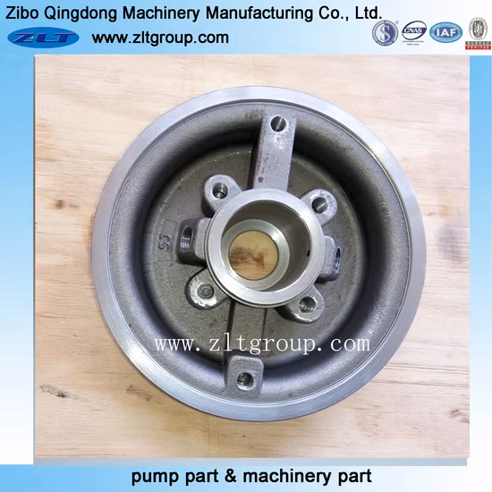 Stuffing Box Cover in Stainless Steel/Carbon Steel for Durco Pump Replacements