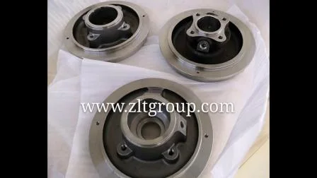 Sand Casting ANSI Chemical Centrifugal Zlt 196 Pump Stuffing Box Cover in Titanium/Stainless Steel CD4/316ss